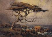 unknow artist Monterey Cypress oil painting